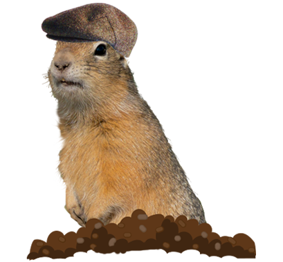 Cap gopher