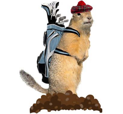 Gopher golfer